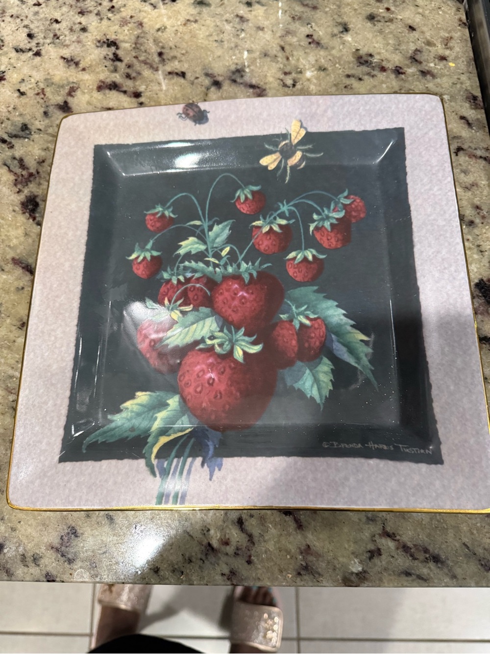 Strawberry Botanical Square Serving Plate - Pink and Black Accents